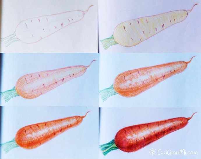 彩铅水果蔬菜步骤初学者手绘教程