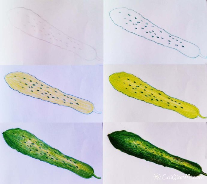 彩铅水果蔬菜步骤初学者手绘教程