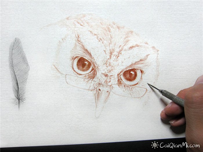 《福鸟花鸮》纸上彩铅画绘画步骤教程