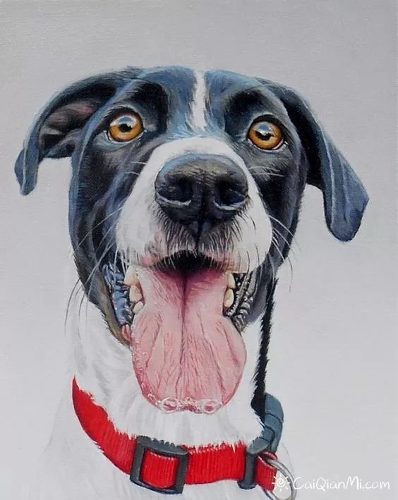 狗年手绘彩铅画狗狗图片