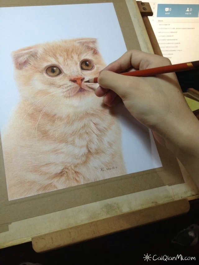孟祥雷猫狗超写实手绘彩铅画
