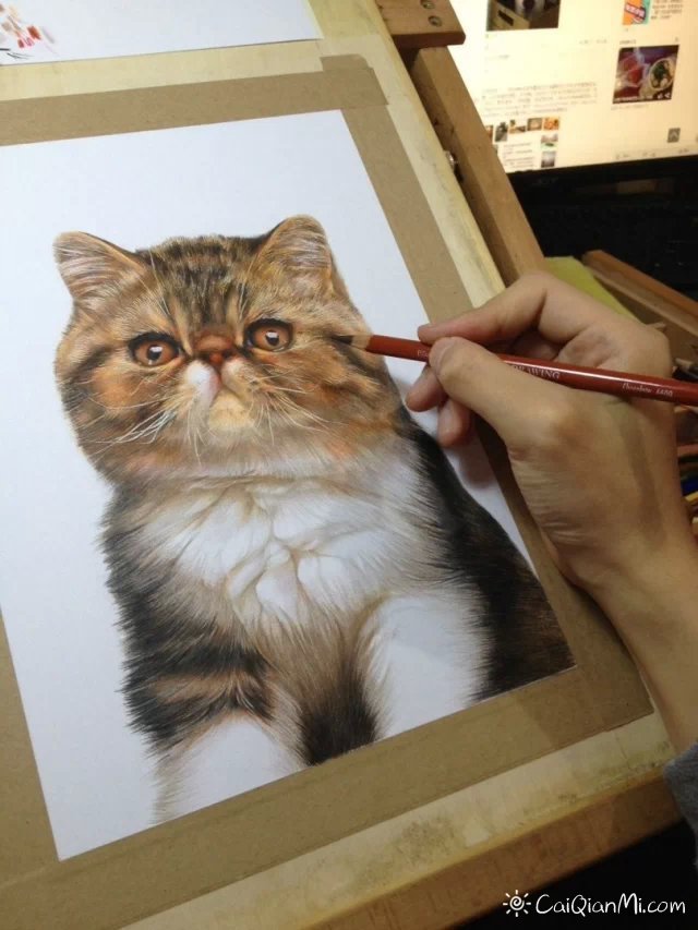 孟祥雷猫狗超写实手绘彩铅画