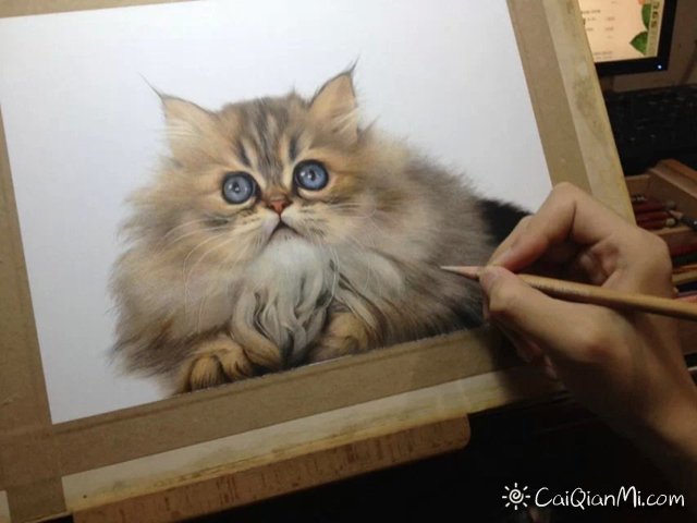 孟祥雷猫狗超写实手绘彩铅画