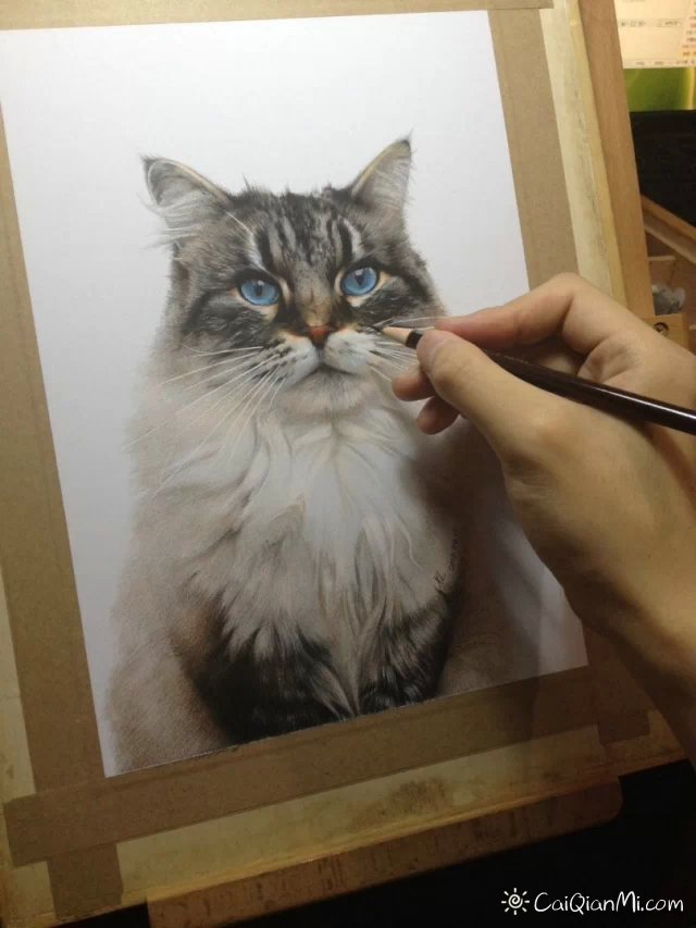 孟祥雷猫狗超写实手绘彩铅画