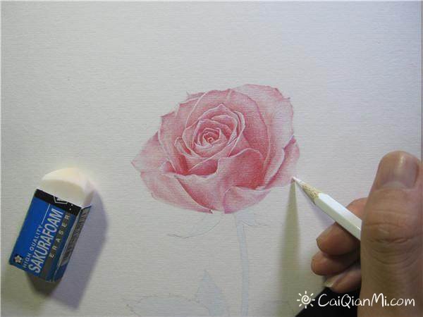 玫瑰花彩铅手绘教程分解步骤