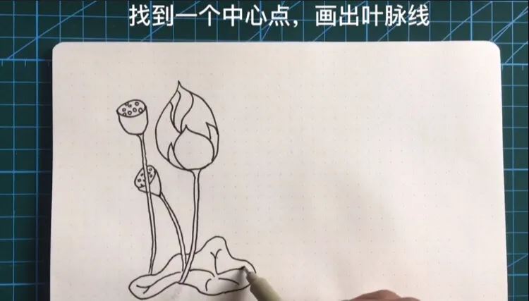 简笔画荷花的画法