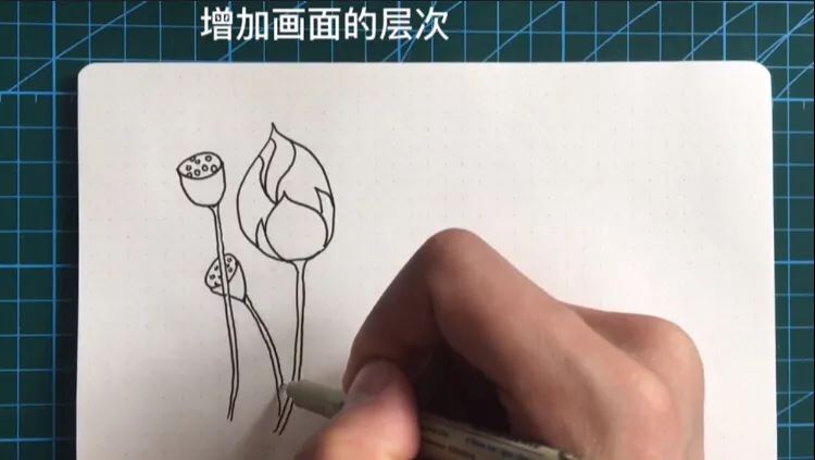 简笔画荷花的画法