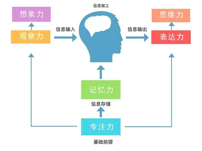 一口气挖来20个培养专注力的亲子游戏，快让我叉会腰