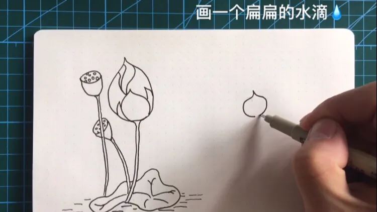 简笔画荷花的画法