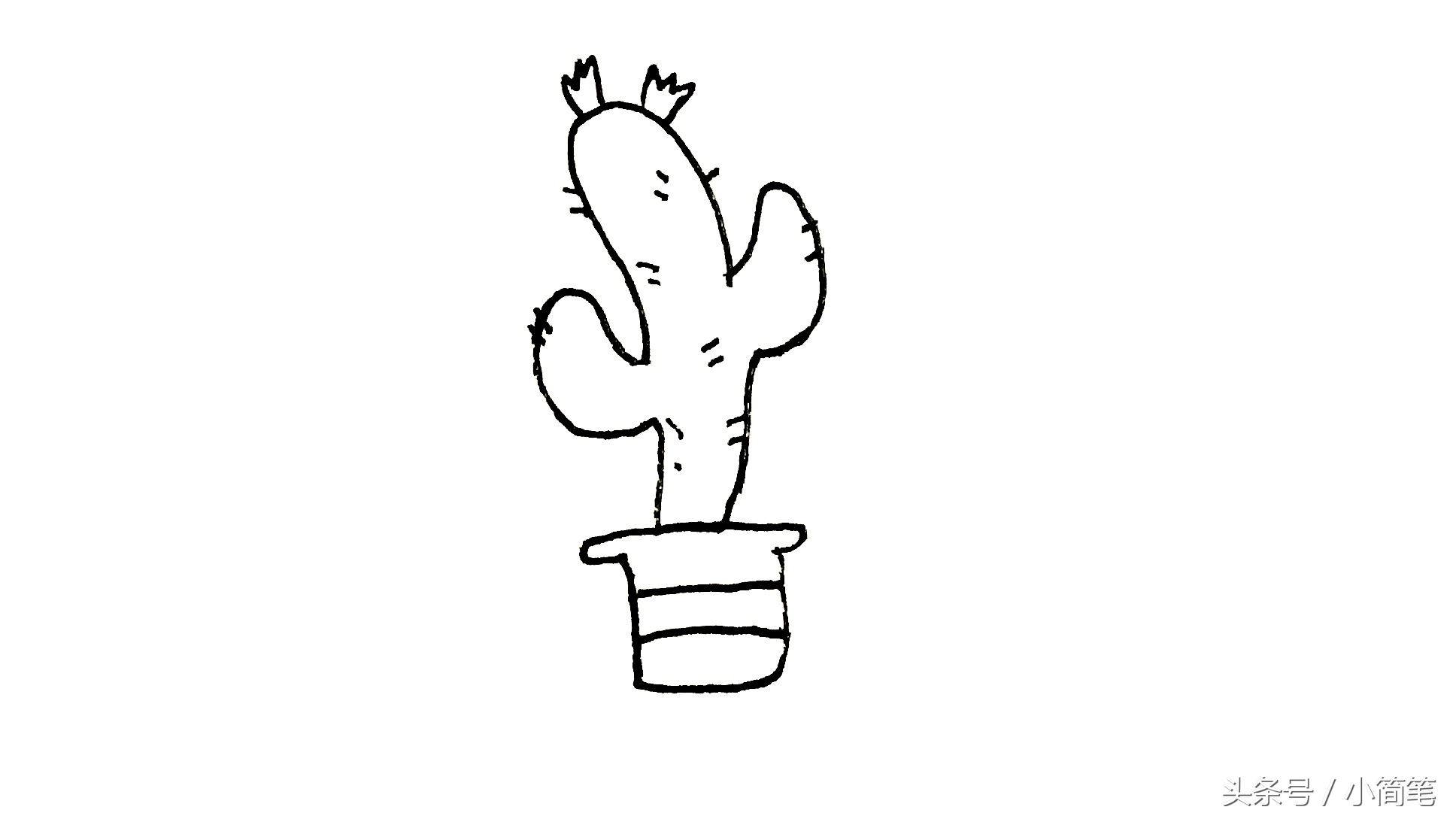 育儿简笔画植物篇（1）：扎手的仙人掌