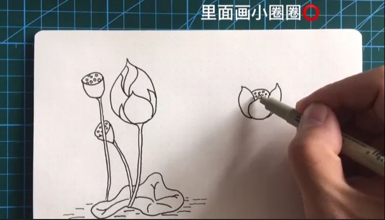 简笔画荷花的画法