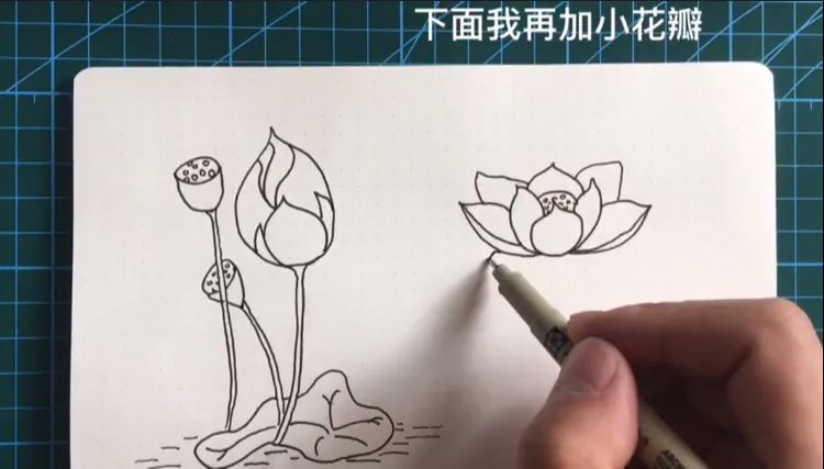 简笔画荷花的画法