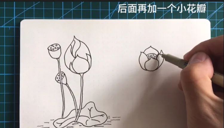 简笔画荷花的画法