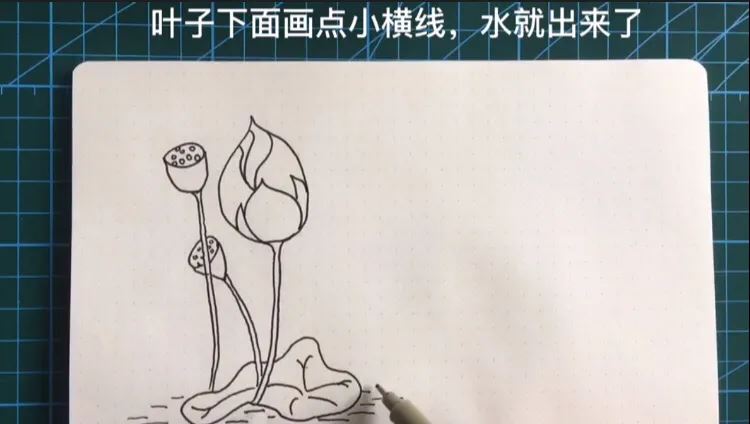 简笔画荷花的画法