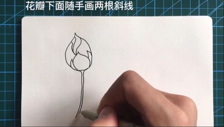 简笔画荷花的画法