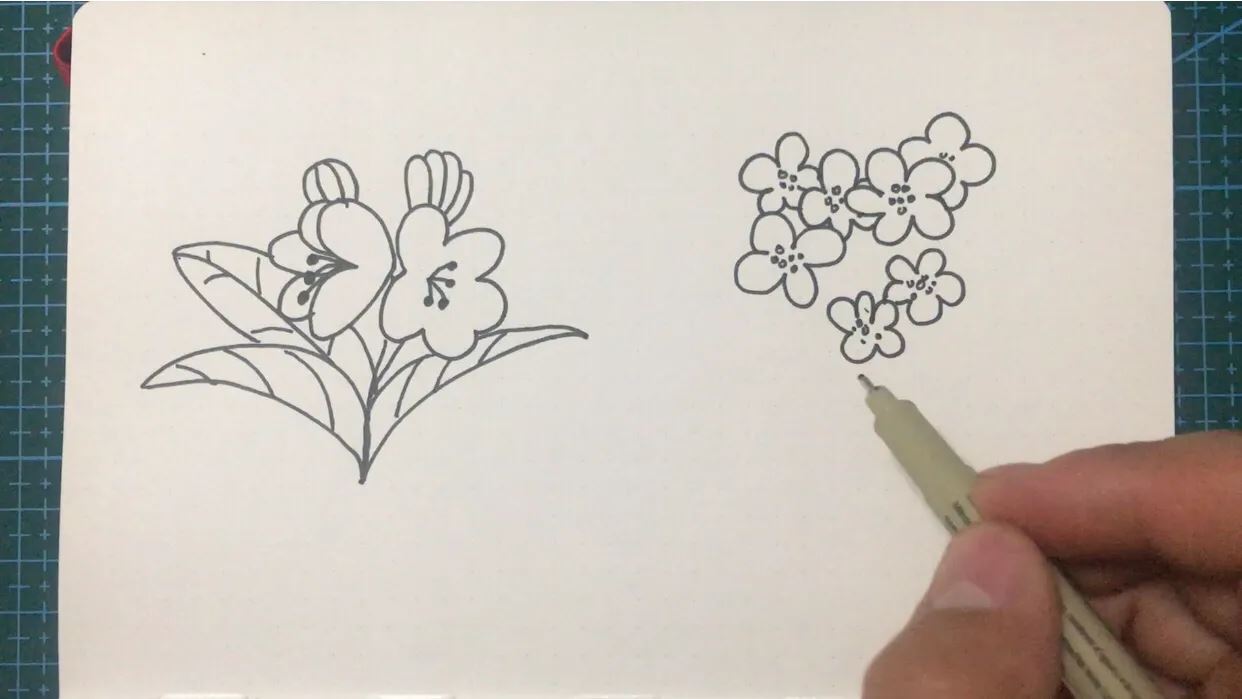 简笔画海棠花的画法，收藏起来吧
