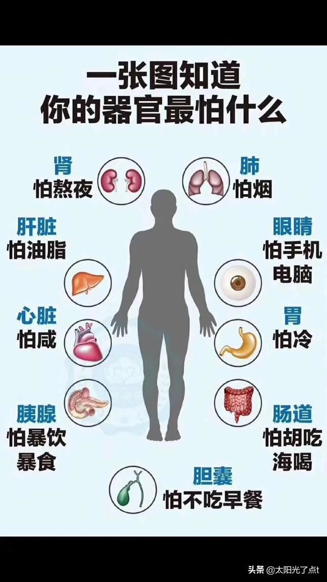 大人和小孩玩的游戏有哪些？