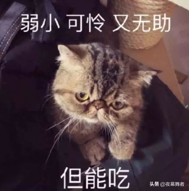 一个人沉迷游戏无法自拔怎么办？