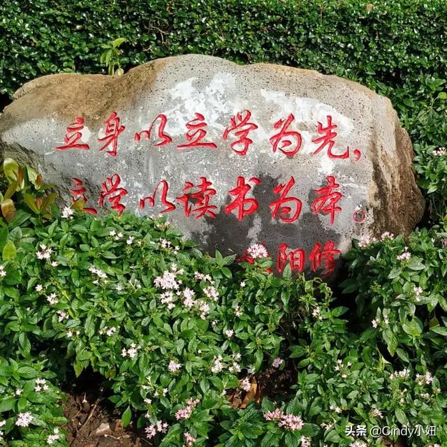 宝宝两岁，喜欢玩手机游戏，看动画片，我该如何教育他？