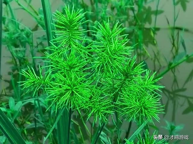 网络游戏玩的太多了戒不掉了怎么办？