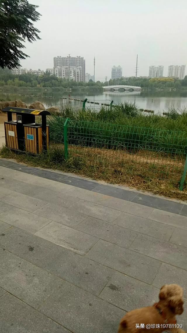 什么游戏适合四十岁女人玩？