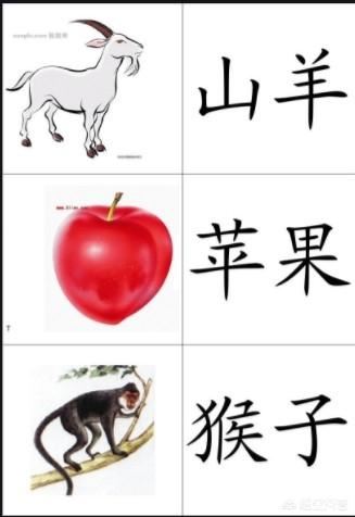 6岁孩子怎么识字？