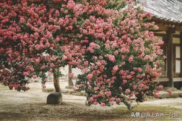 周末陪孩子的快乐时光？