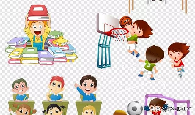 中国小学生应该具备什么技能？