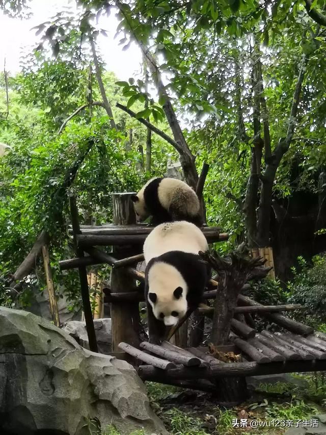 适合3岁宝宝的亲子活动有哪些？