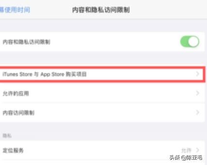 iOS 12：苹果iPad禁止安装应用怎么设置？