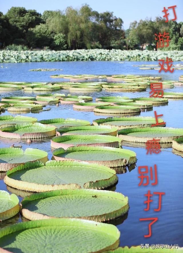 初三学生打游戏到晚上10点，父母该不该强制关电脑？
