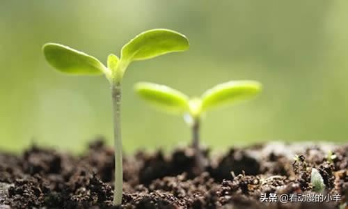 儿子18岁上高三老是玩手机看动漫小说该怎么办？