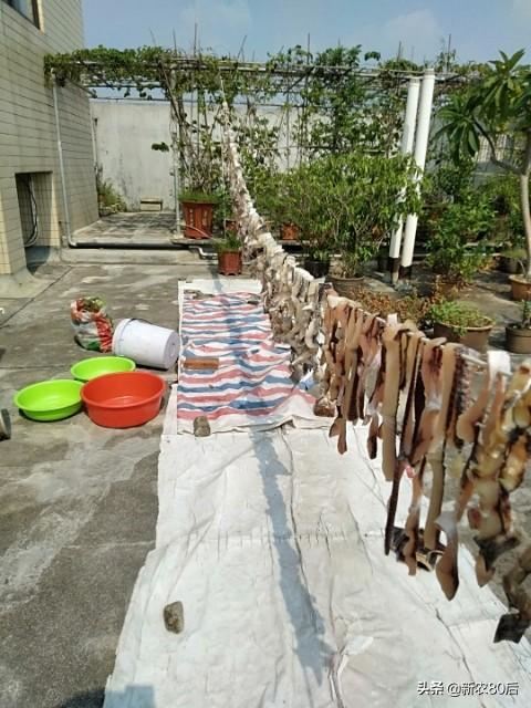 27岁了还是光棍一条，又没挣到什么钱，怎么办？