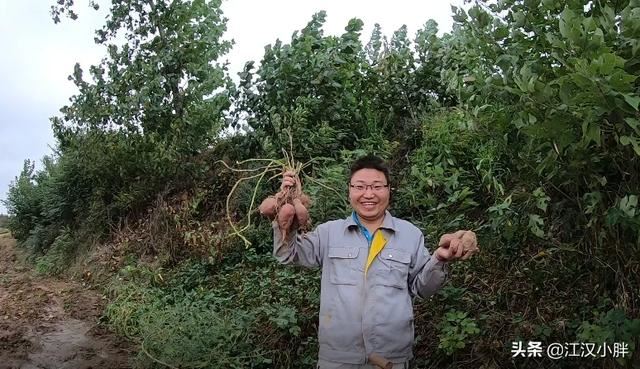 27岁了还是光棍一条，又没挣到什么钱，怎么办？