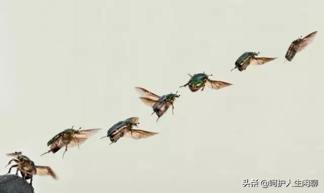 面对孩子学习成绩不好该怎么办？
