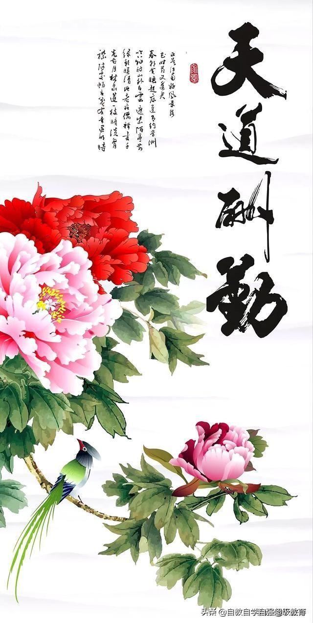 怎样的家庭教育能培养出一个优秀的孩子？