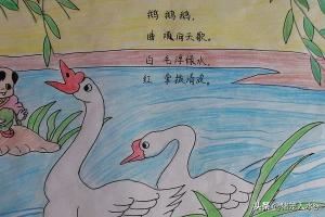 学校布置的手抄报作业，家长应该如何进行辅导