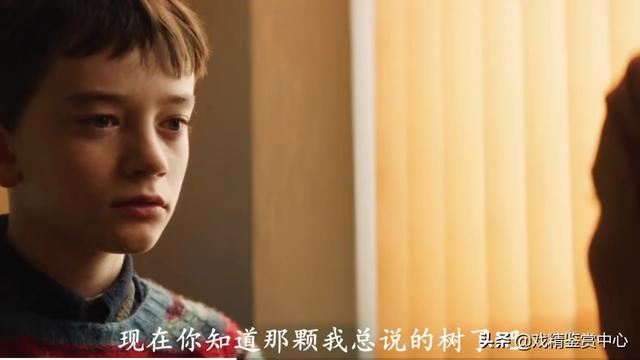 请问，适合初中生观看的电影或电视剧都有哪些呢