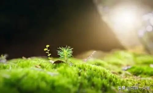 家长会的目的和意义