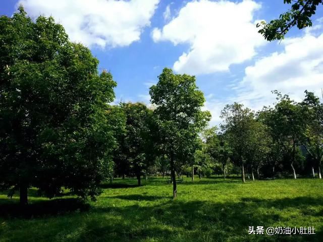 成都信息工程大学怎么样