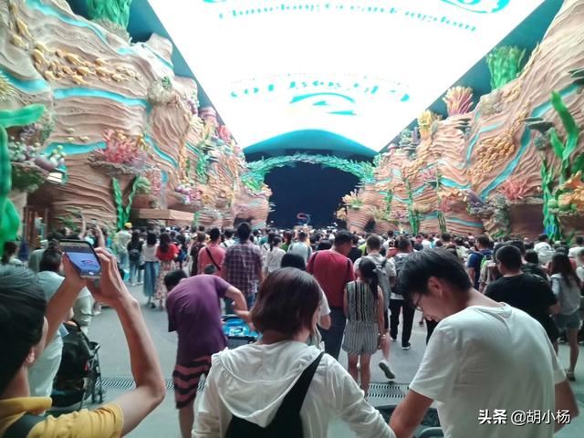23岁被催婚，怎么办
