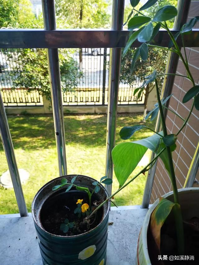 2岁多的孩子不听话怎么教育