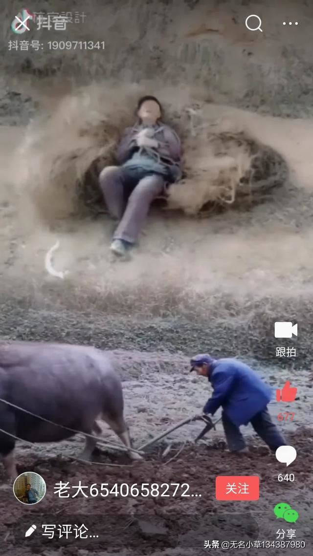 告诉我怎么对付烦人的老人，不要说忍着什么的，没和老人住过才这么说的