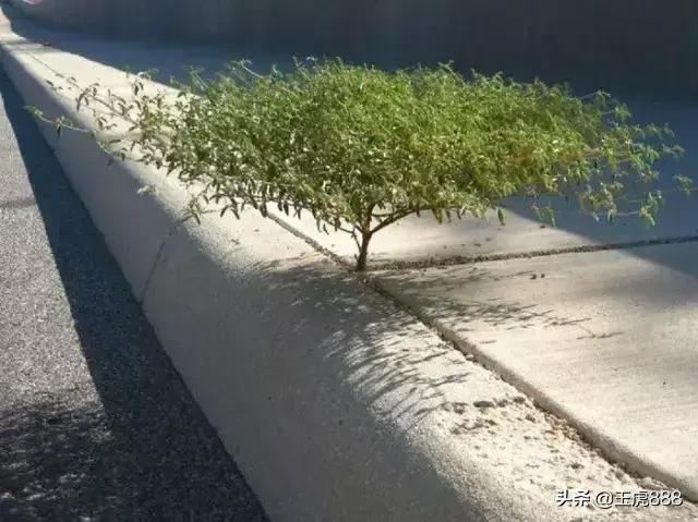 高中的小孩怎么难以管教