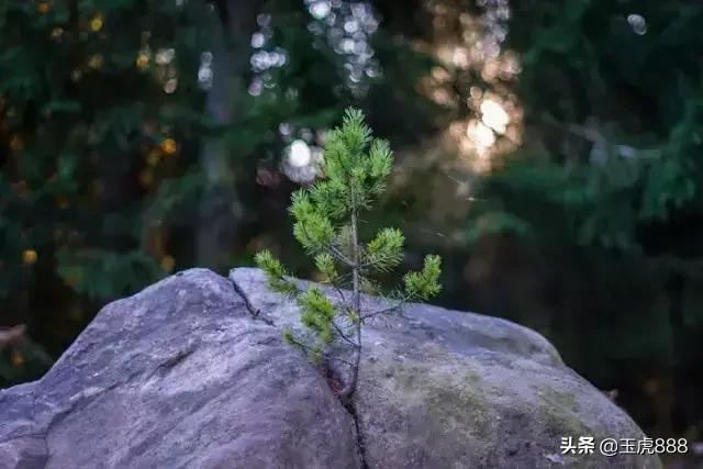 高中的小孩怎么难以管教