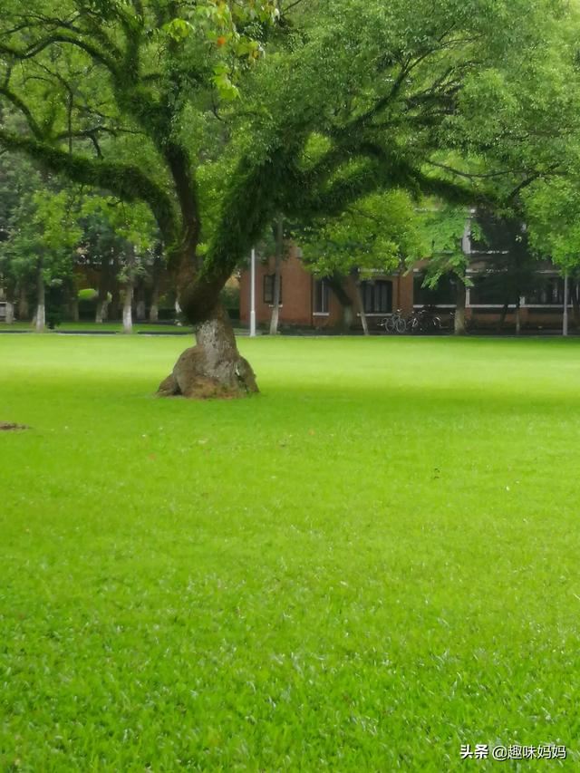 孩子叛逆期，不跟家长交流咋办