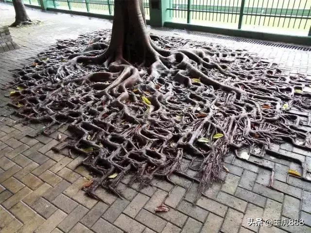 高中的小孩怎么难以管教