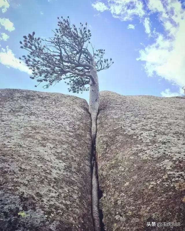 高中的小孩怎么难以管教