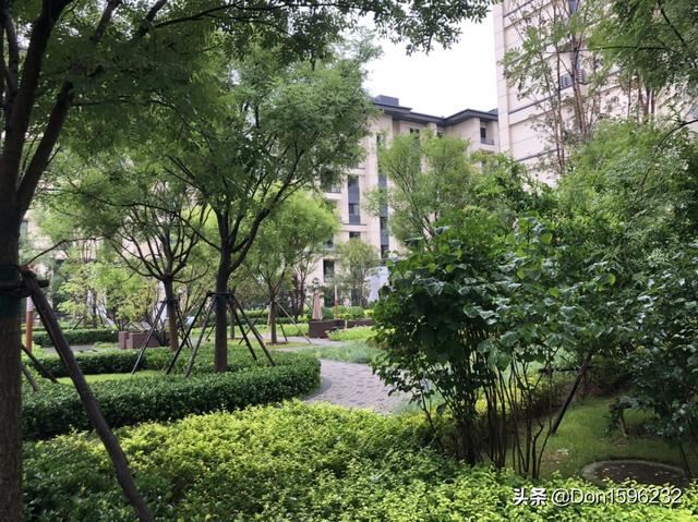 老公前妻的孩子我很讨厌，怎么办